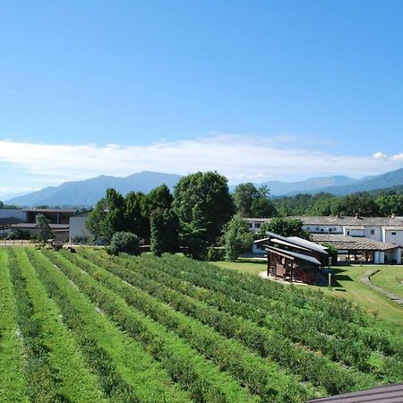 Agriturismo Il Frutto Permesso Bibiana Extérieur photo